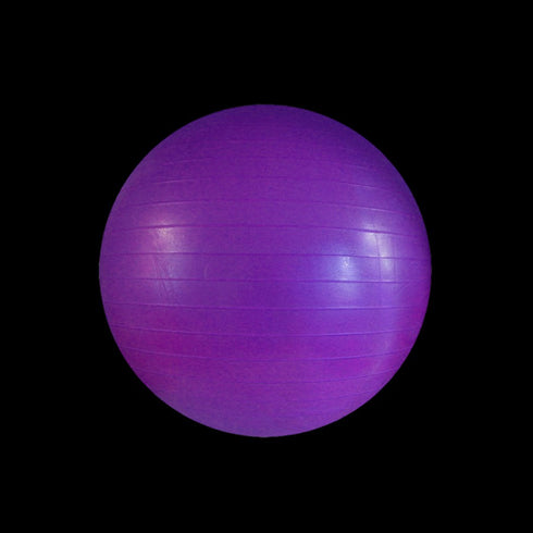 DYNAMICS-FITNESS BALL-Purple